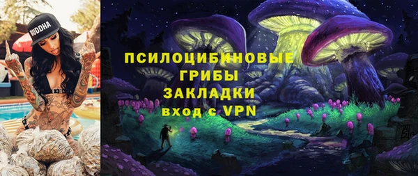 2c-b Гусь-Хрустальный
