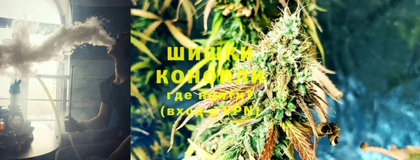 гашик Гусиноозёрск