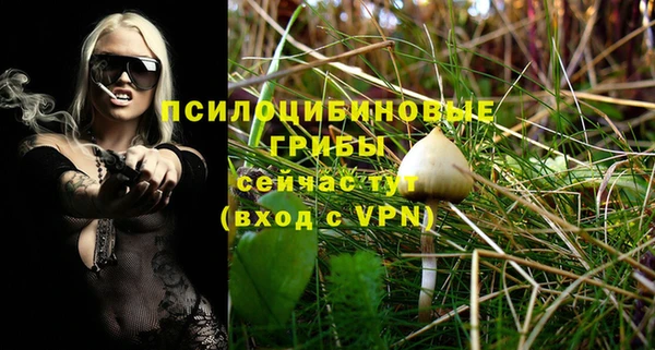гашик Гусиноозёрск