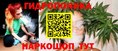 PSILOCYBIN Пушкино