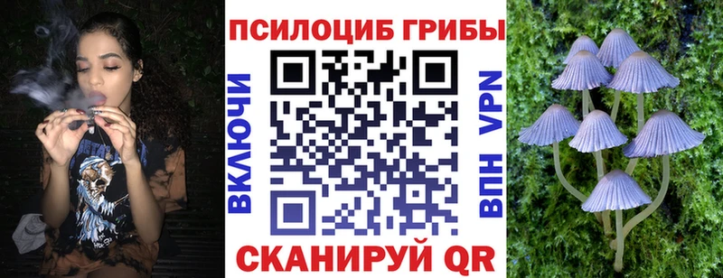Псилоцибиновые грибы Magic Shrooms  Первоуральск 