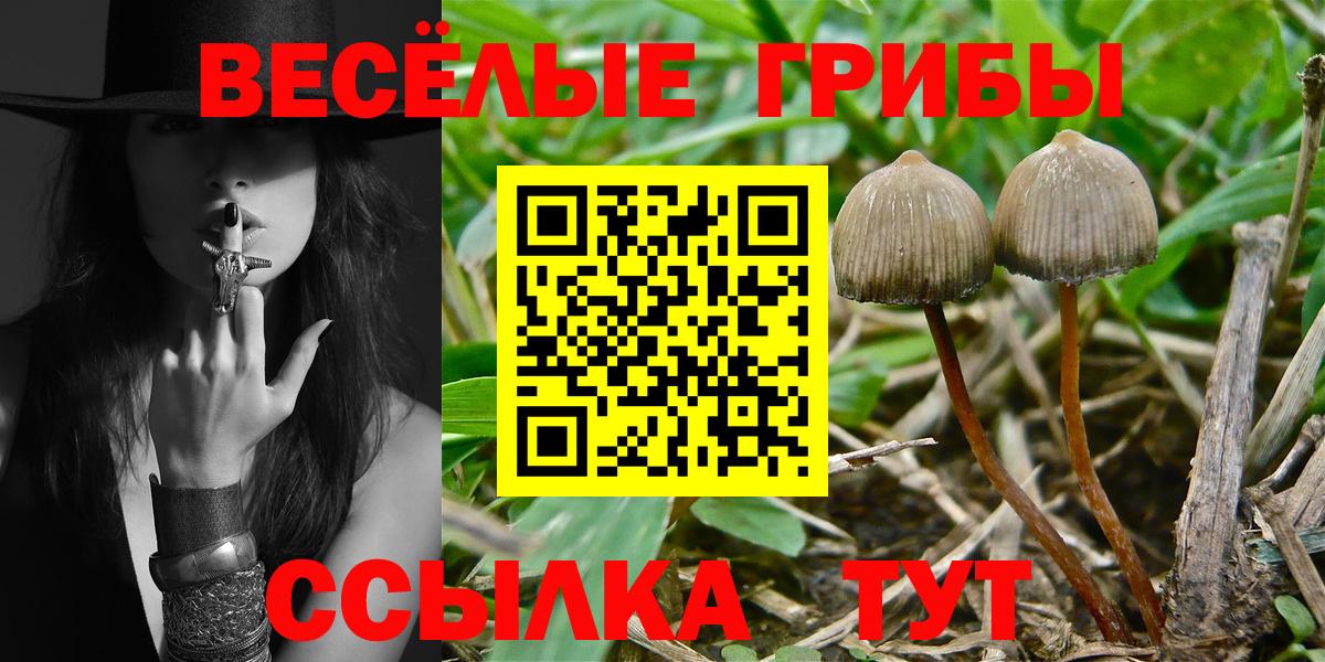 где найти   Галлюциногенные грибы мицелий  Вход с VPN  Первоуральск 
